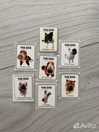 Наклейки собаки Читос the dog