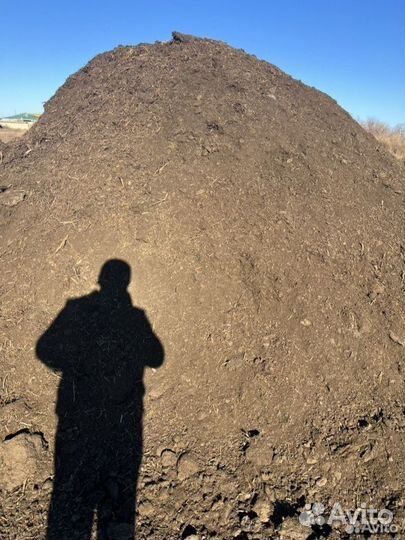 Навоз коровий с доставкой