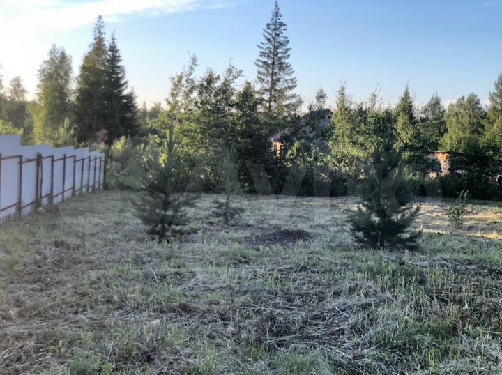 Участок 16,5 сот. (СНТ, ДНП)