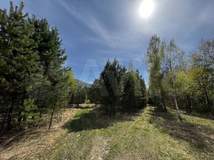 Участок 3,5 га (СНТ, ДНП)