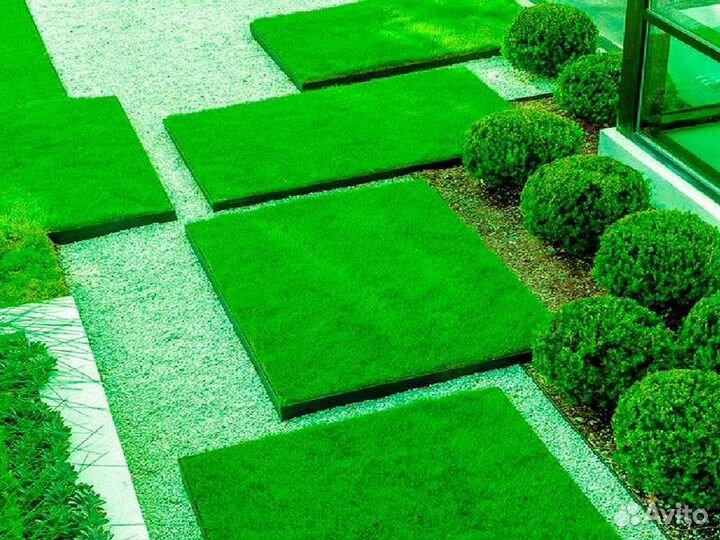 Газонная трава в рулонах «Живая»