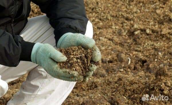 Навоз перепелиный в мешках