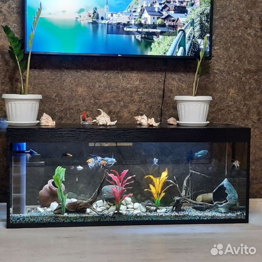 Аквариум на 450л