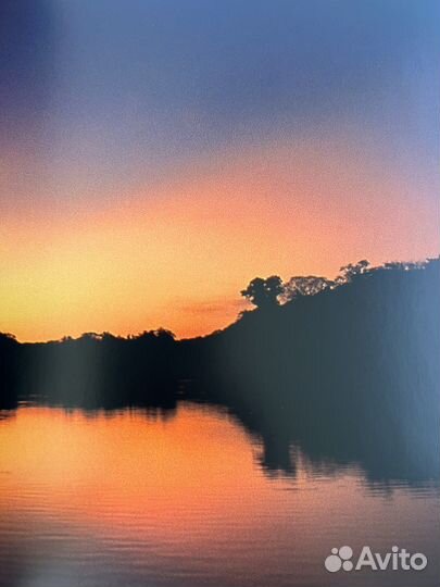 Франс Лантинг Джунгли на английском языке