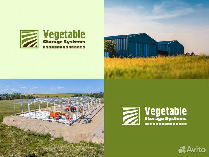 Разработка логотипа