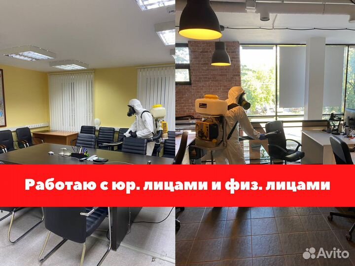 Дезинфекция / Уничтожение насекомых, тараканов