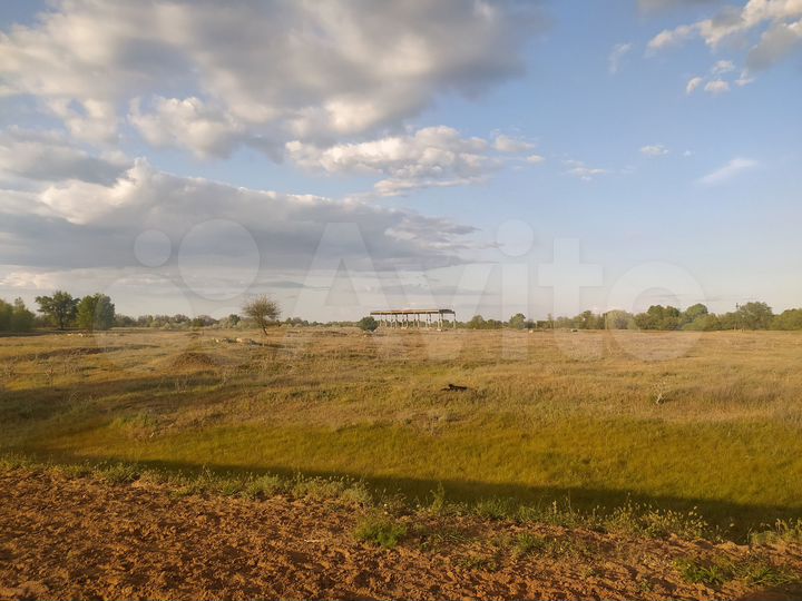 Участок 99 га (СНТ, ДНП)