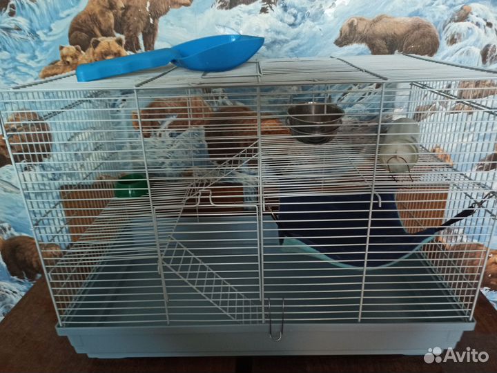 Клетка для грызунов большая 60*35*40