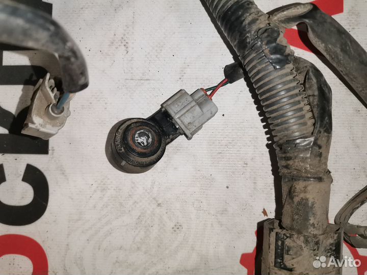 Проводка двигателя Б/у