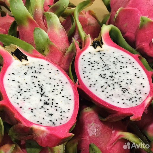 Питахайя, разные виды, семена