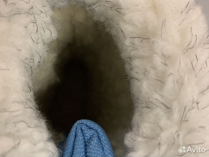 Demar bear новые зима