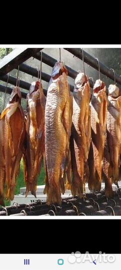 Сдам в аренду коптильные цеха