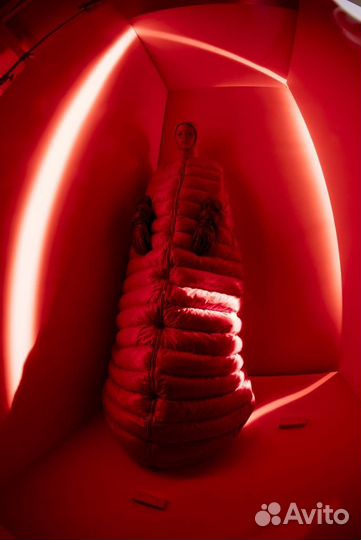 Новый альбом в плёнке Tim Walker: Wonderful Things