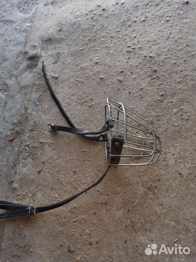 Намордник для собак