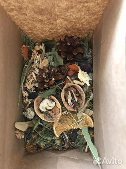 Копошилка для попугаев