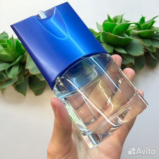 Пряные духи Givenchy Pour Homme Blue Label