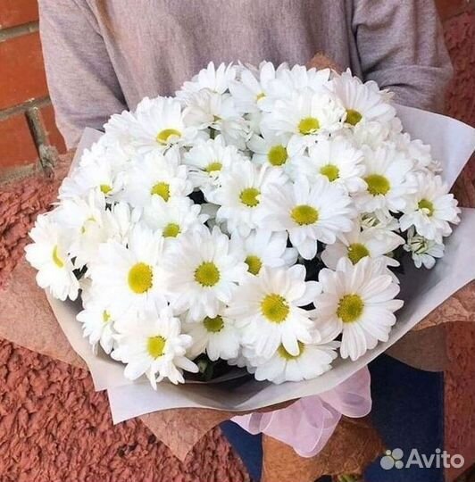 Хризантема Доставка цветов