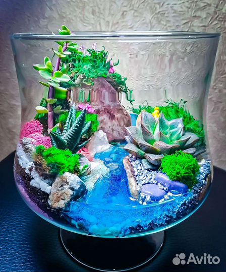 Флорариум, подарок