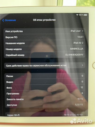 iPad Air 2 Wi-Fi 16 Gb Gold