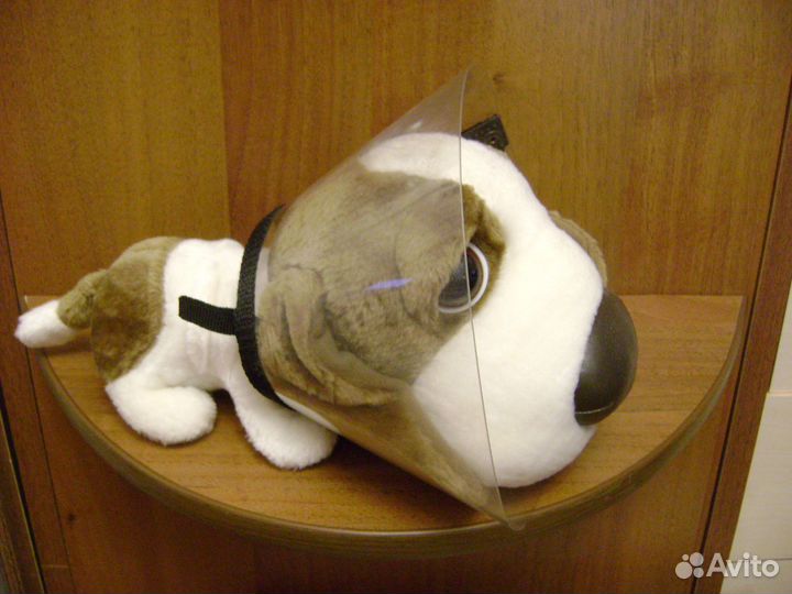 Воротник защитный для мелкого животного Колпино