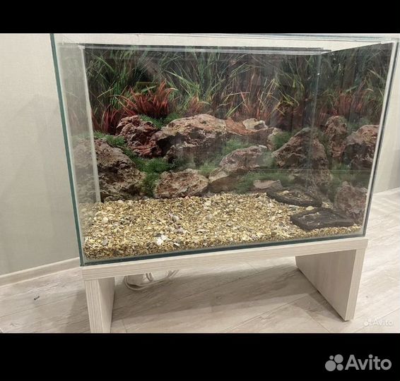 Террариум для рептилий бу
