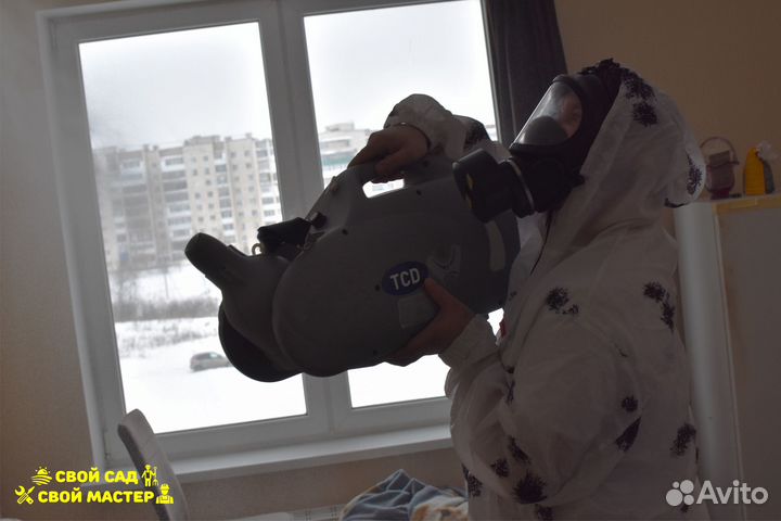 Дезинфекция