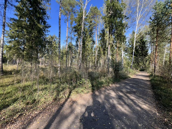 Участок 25 сот. (ИЖС)