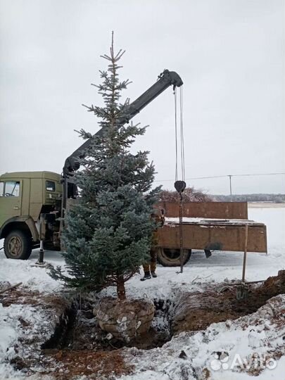 Услуги кму Камаз