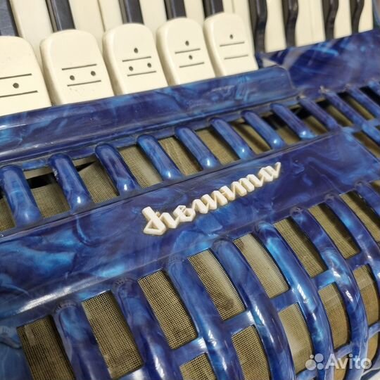 Аккордеон квинта