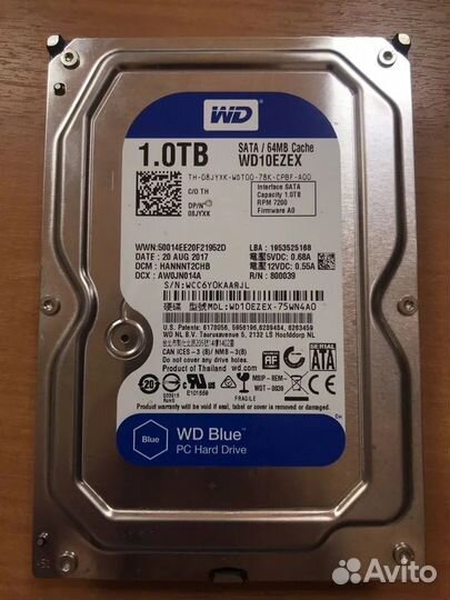 Жесткий диск Western Digital WD Blue 1 TB WD10ezex