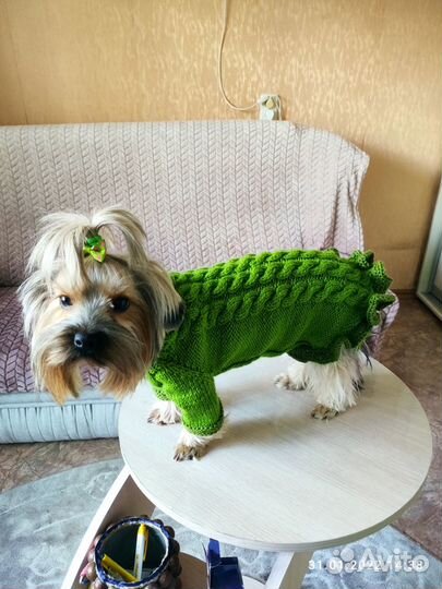 Одежда для средних собак