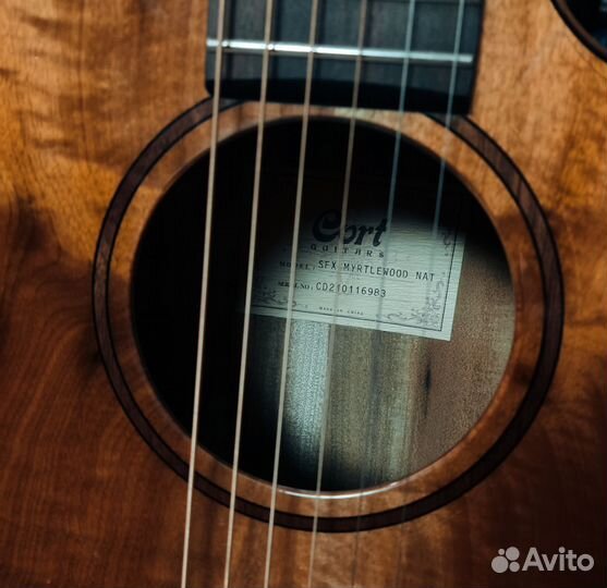 Гитара акустическая Cort sfx myrtlewood