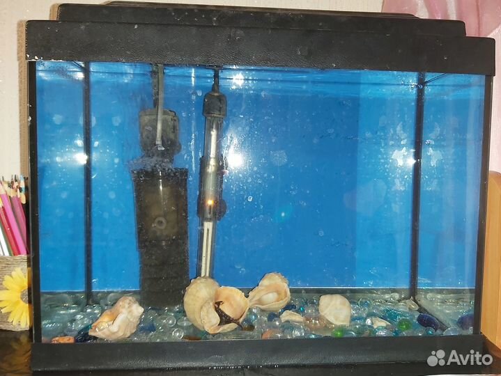 Аквариум