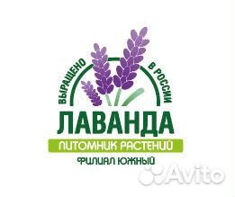 Работник питомника