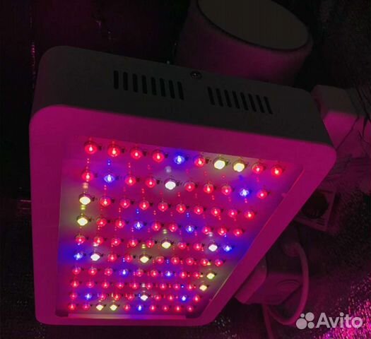 Фитолампа для растений купить в Москве | Товары для дома и дачи | Авито