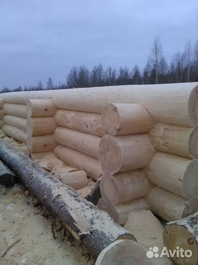 Срубы домов и бань из бревна от производителя
