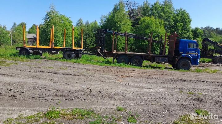 КамАЗ 43118-RF с КМУ, 2013