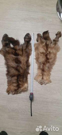 Шкурки соболя