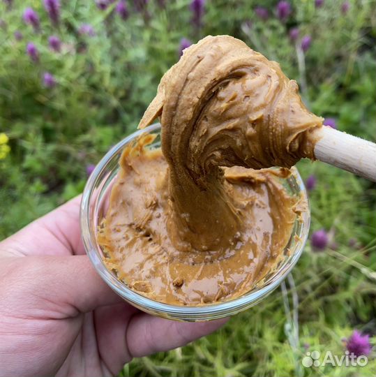 Мёд дикий 23 года