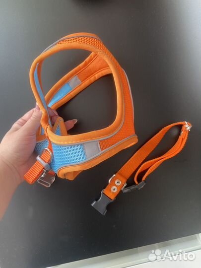 Шлейка для собаки