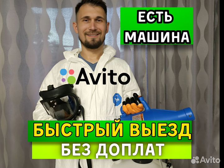 Уничтожение тараканов, блох, клопов. Дезинфекция