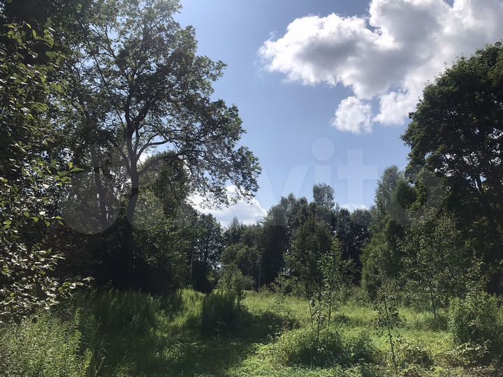 Участок 60 сот. (ИЖС)