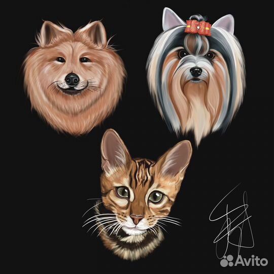 Digital Художник-иллюстратор