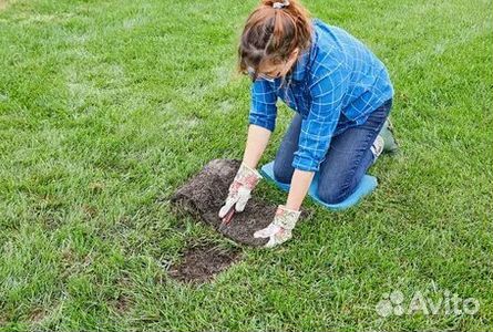 Продажа Рулонного газона