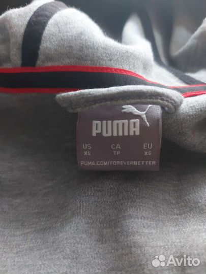 Спортивный костюм puma ferrari оригинал