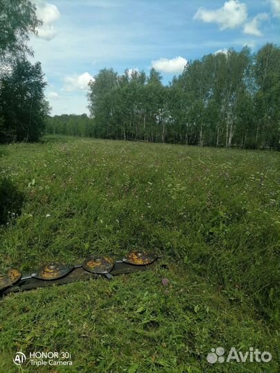 Сено в тюках круглых