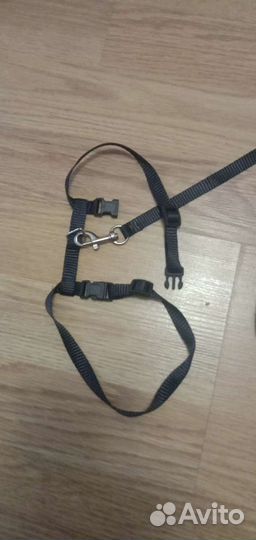 Шлейка