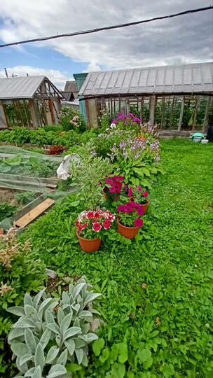 Дом 47 м² на участке 5,4 сот.