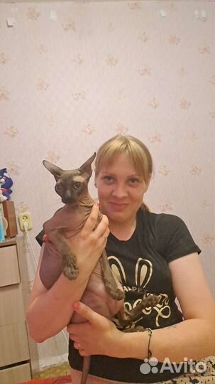 Передержка для животных