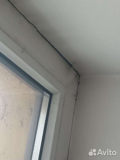 Ремонт пластиковых окон. Москитные сетки